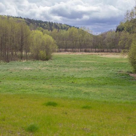 Domki Przystanek Drzewina Exterior foto